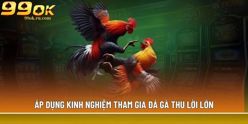 Đá gà cựa sắt 99OK với đa dạng kèo cược hấp dẫn nhất 4 Áp dụng kinh nghiệm tham gia đá gà thu lời lớn