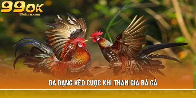 Đá gà cựa sắt 99OK với đa dạng kèo cược hấp dẫn nhất 3 Đa dạng kèo cược khi tham gia đá gà