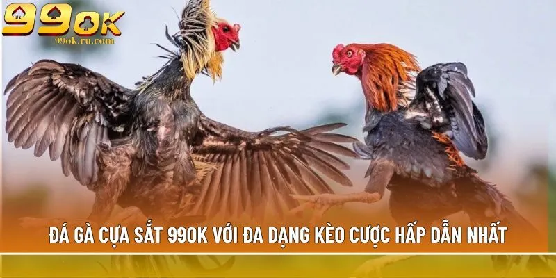 đá gà cựa sắt