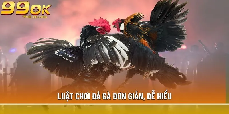 Đá gà đòn: Tổng hợp những thông tin có thể bạn chưa biết 2 Luật chơi đá gà đơn giản, dễ hiểu